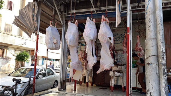 مجزر بكفر الشيبخ