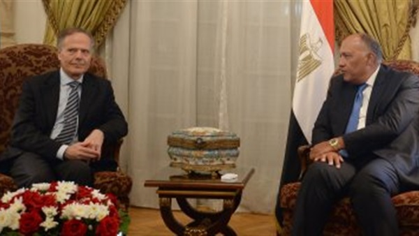 وزير الخارحية المصرى