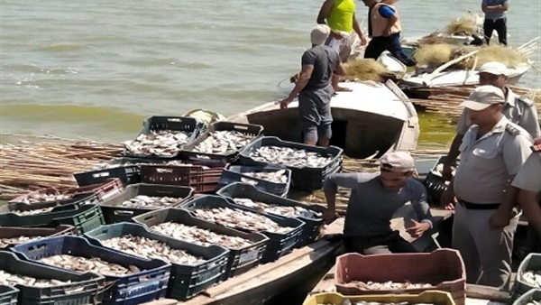 شرطة المسطحات