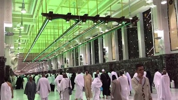 المواطن