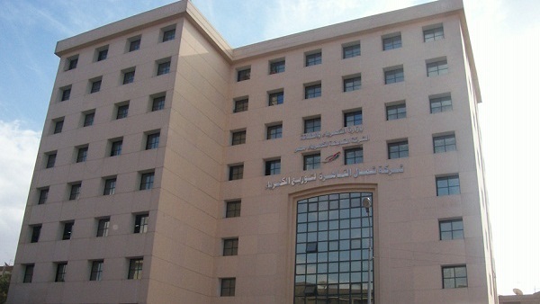 وزير الكهرباء