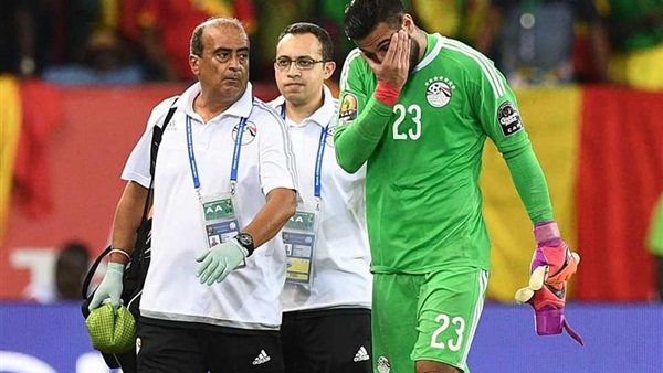 احمد الشناوي