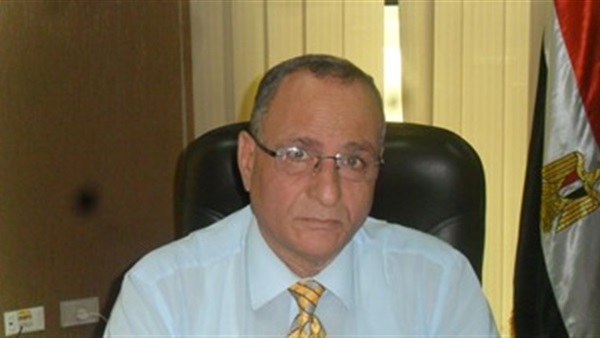 المستشار أحمد محمود