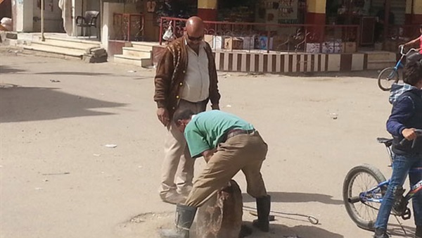 ضبط عاطلين ب المنوفية