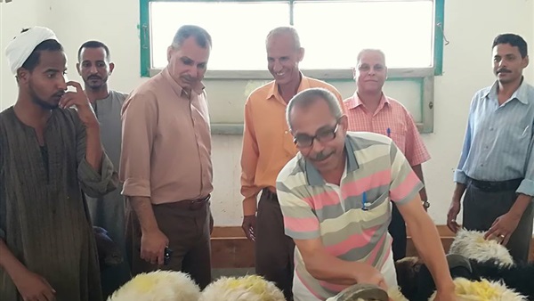 عيد الأضحى المبارك2018-اضحية