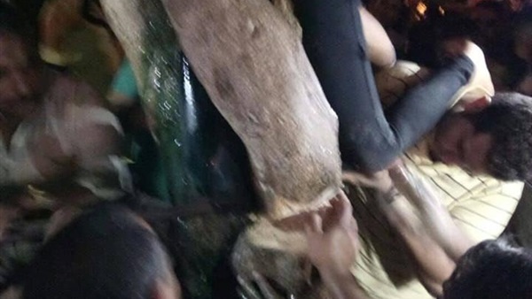 المواطن