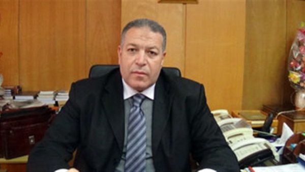 السفير المصري لدى