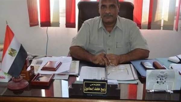المهندس ربيع إسماعيل