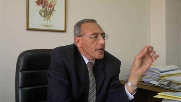 السفير مجدي عامر