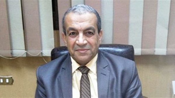 الدكتور محمد السيد