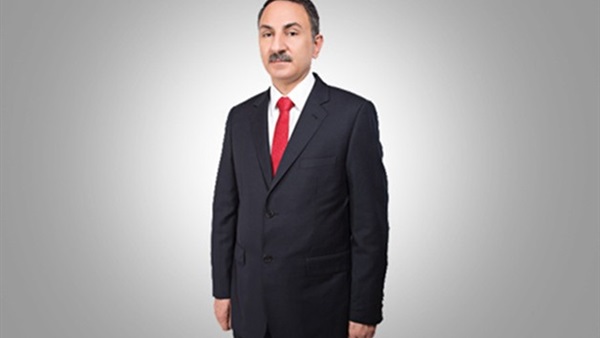 مجدي ملك، عضو مجلس