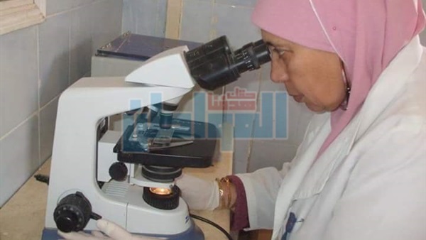 جانب من الحدث