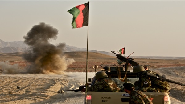 المواطن