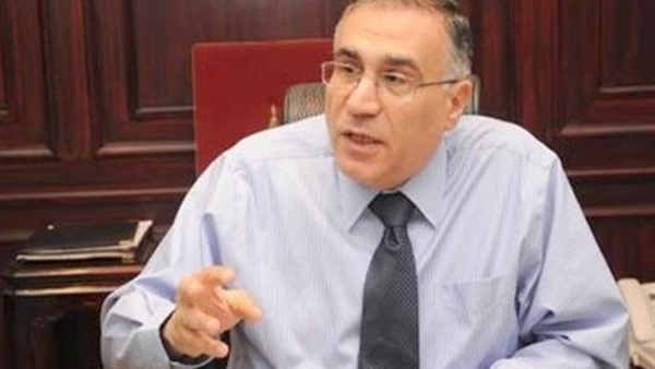 محمد بدر الدين زايد