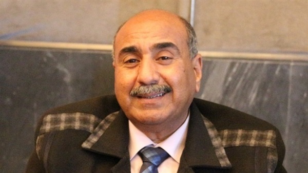 سيف نصرالدين، عضو