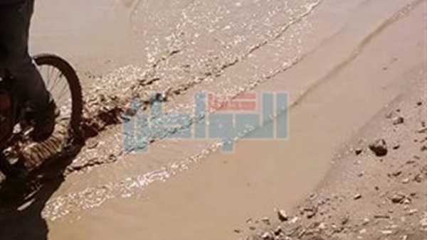 جانب من الحدث