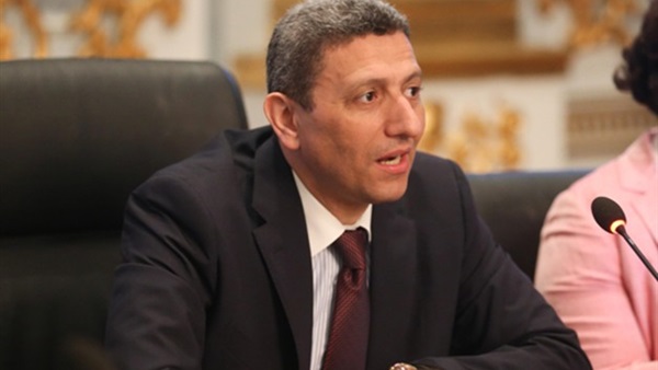 المستشار محمود فوزي،