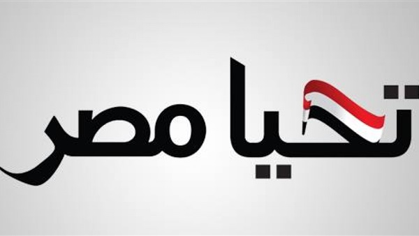 صندوق تحيا مصر