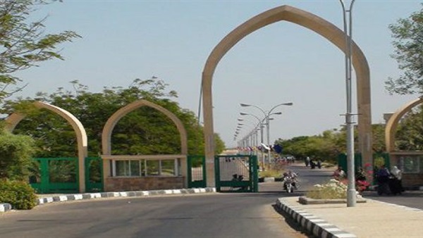 جامعة أسوان