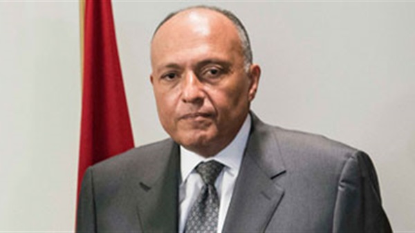 سامح شكرى وزير الخارجية