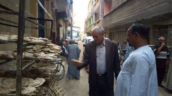 رئيس مدينة ملوي