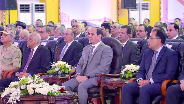 الرئيس السيسي والدكتور
