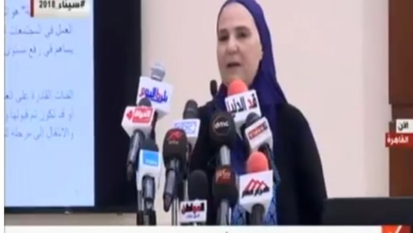نيفين القباج نائب