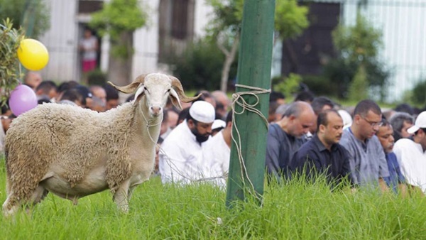 عيد الأضحى