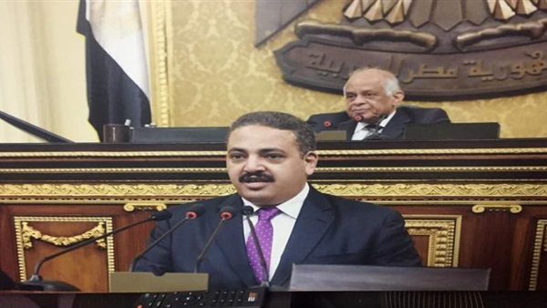 النائب منتصر رياض