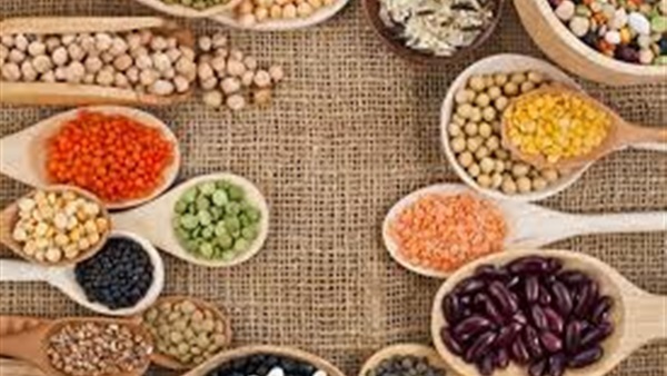 البقوليات اليوم
