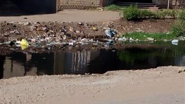 مصرف شبين القناطر