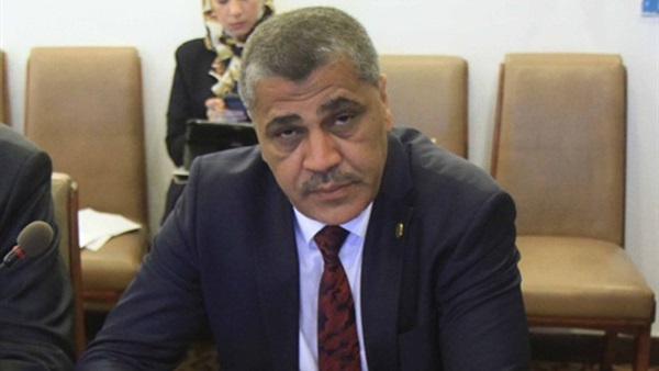 النائب عصام الفقى
