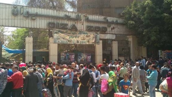 حديقة الحيوان بالجيزة