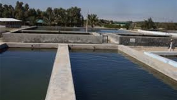 مزرعة سمكية