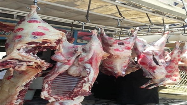 حملات مكبرة