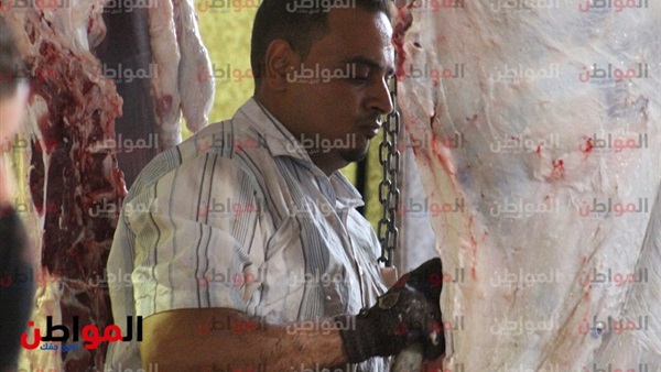 ذبح بقرة