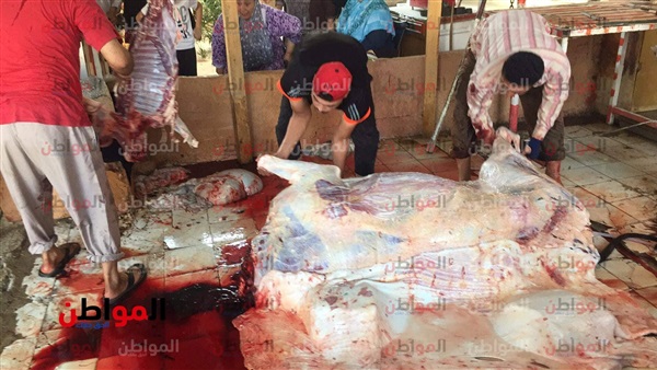 ذبح الأضاحي في مصر
