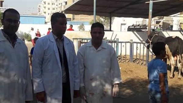 مجازر البحر الأحمر