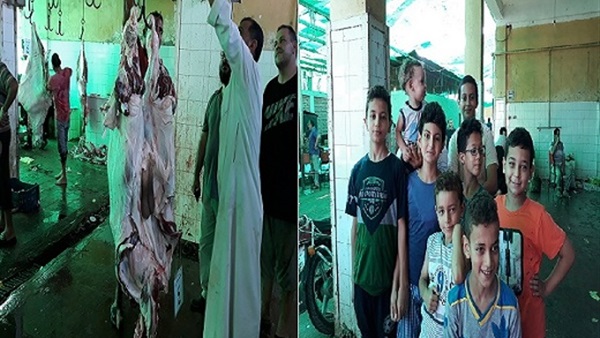 المواطن
