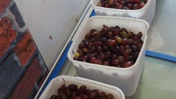 حملات تفتيشية-عيد
