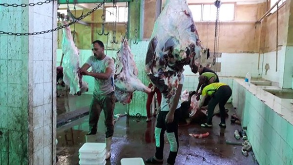 مجزر كفر الشيخ