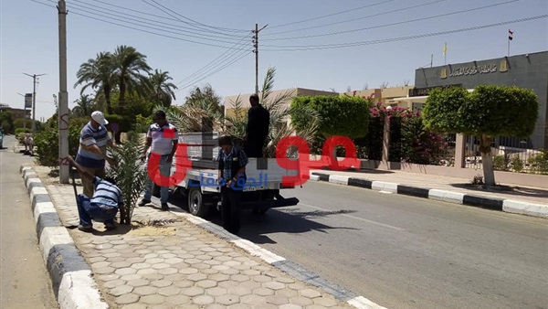 حملة تشجير وزراعة