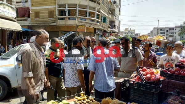 رئيس مدينة دسوق-حملة