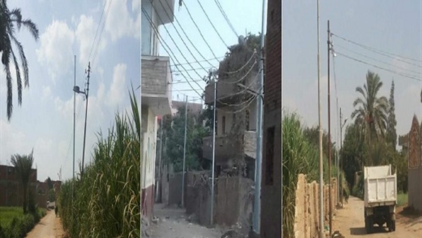 زرع ٤٨ عامود إنارة