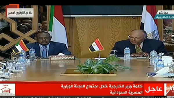 سامح شكري وزير الخارجية