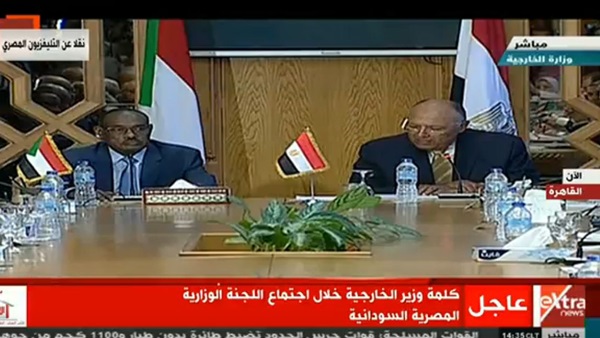 سامح شكري وزير الخارجية
