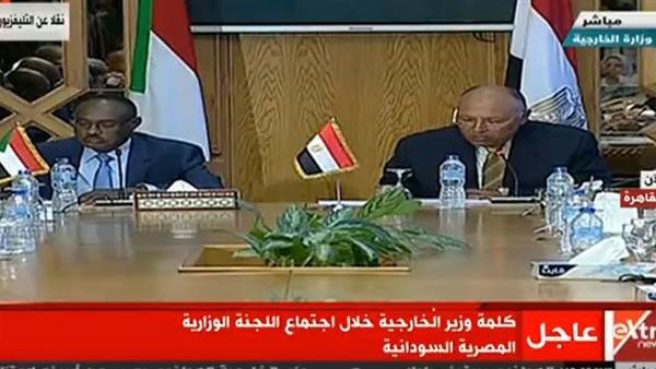 سامح شكري وزير الخارجية