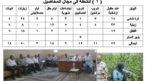 زراعة بنى سويف