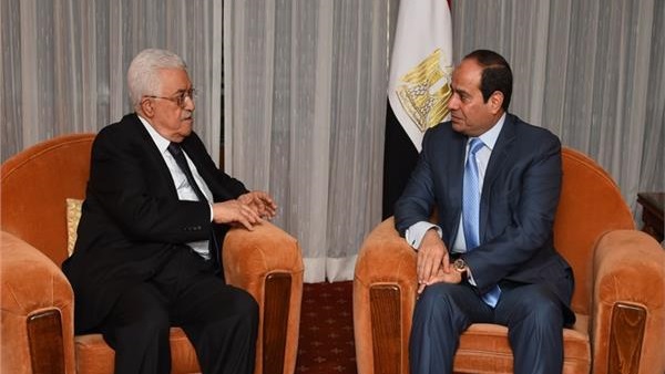 الرئيس السيسي مع