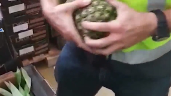 المواطن